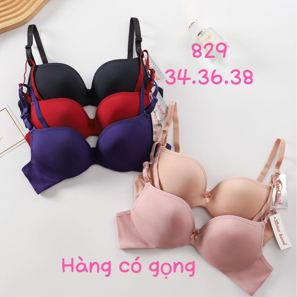 Special offer Sisterhood factory direct sales Southeast Asian cross-border underwear gathering adjustment breathable bra for women 829#